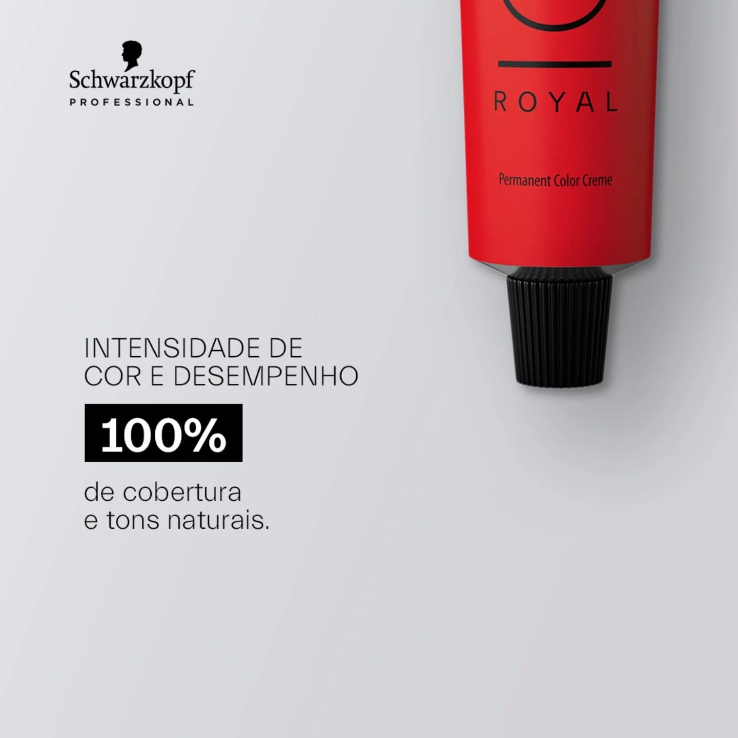 WhatsApp Image 2026-01-08 at 15.05.33