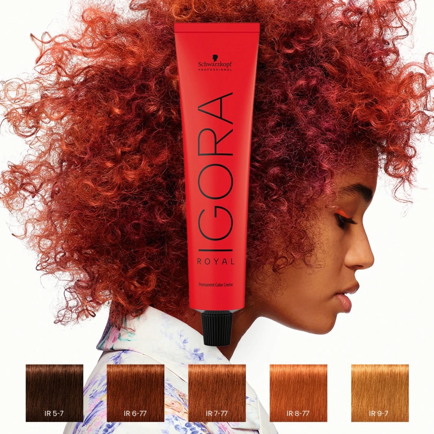 WhatsApp Image 2026-01-08 at 15.05.34 (3)