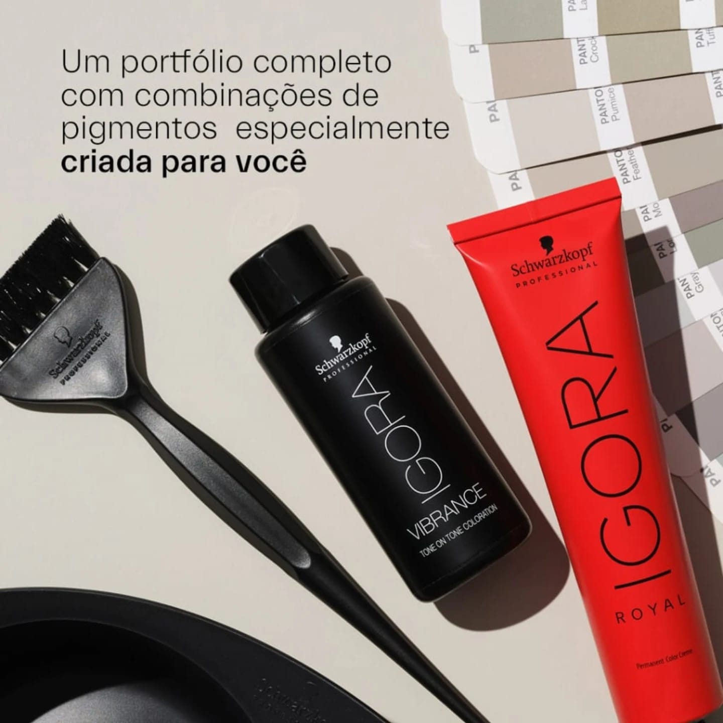 WhatsApp Image 2026-01-08 at 15.05.34